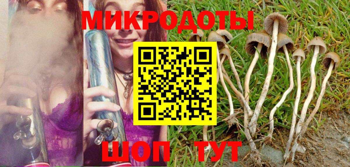 Псилоцибиновые грибы GOLDEN TEACHER  Вход с VPN  хочу   Тверь 