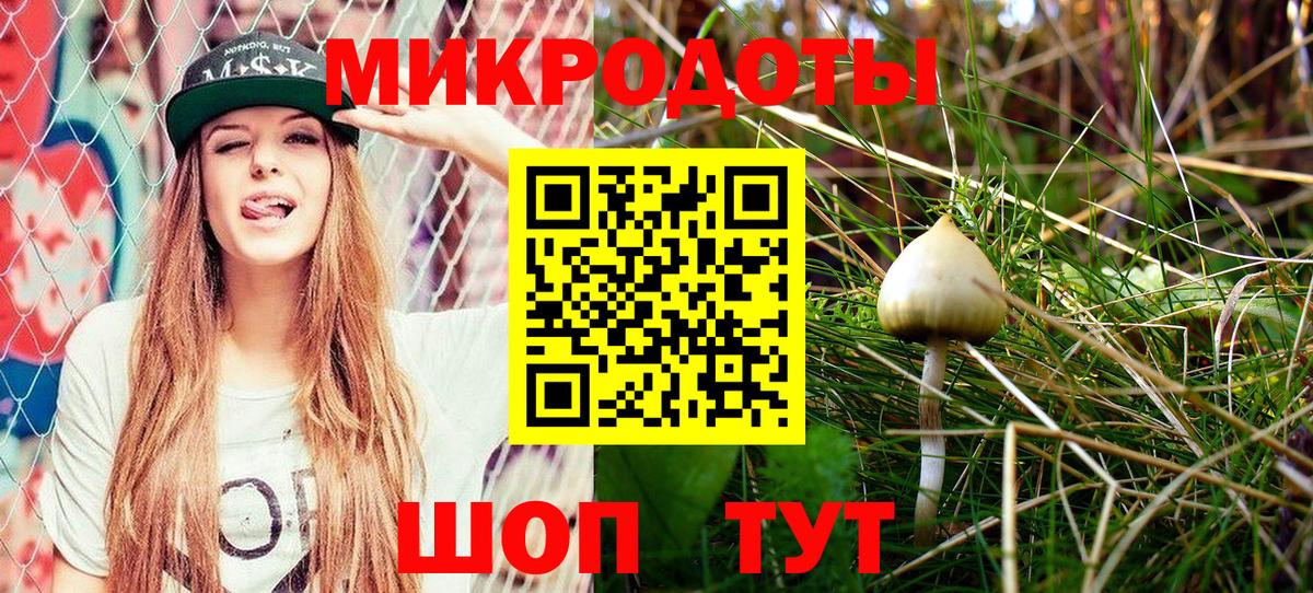Галлюциногенные грибы MAGIC MUSHROOMS Тверь