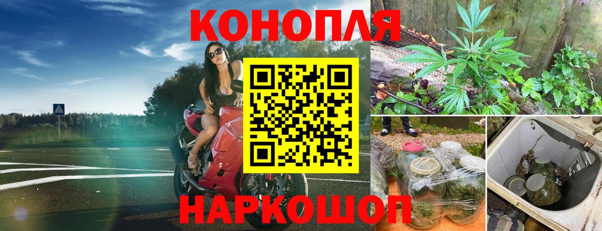 Бошки Шишки MAZAR Тверь